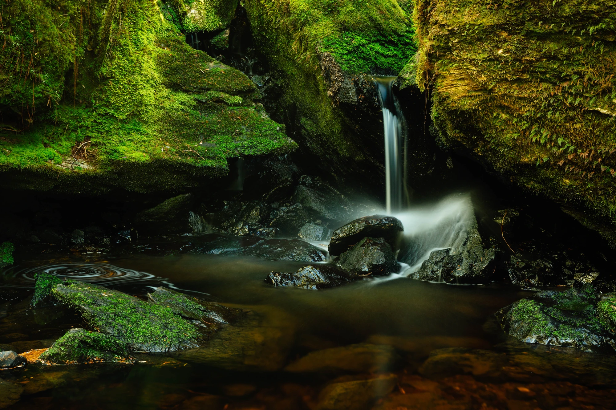 Franklin-Gordon NP, Tasmania